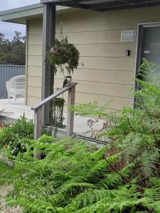 a bird sitting on the porch of a house at Coola studio in Mallacoota