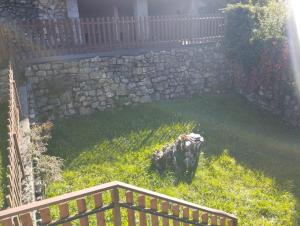 Majutusasutuse Daniela's Home külastajatega peatuv lemmikloom või lemmikloomad
