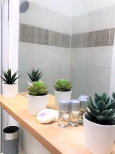 uma prateleira com vasos de plantas na casa de banho em Le Donatien-Cosy appart proche centre et Erdre em Nantes