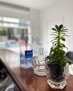 a plant in a glass vase next to a bottle of water at Hotel Lara 10 Curitiba in Curitiba