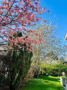 a tree with pink flowers on it in a yard at Cozy Heaven! Just 17 min's to Central in Hedehusene