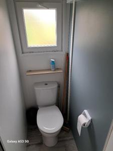 a small bathroom with a toilet and a window at RIVA BELLA MH 171 in Ouistreham
