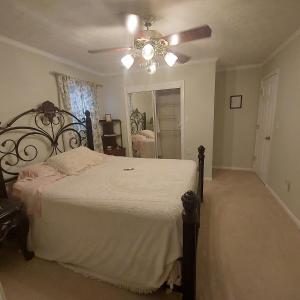a bedroom with a bed and a ceiling fan at serenity hill bed and breakfast in Brownsville