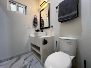 een badkamer met een toilet, een wastafel en een spiegel bij New & cozy 2BR apt downtown Cabo #9 in Cabo San Lucas