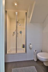 a bathroom with a shower and a toilet at Ferienwohnung 2 - b48936 in Lechbruck