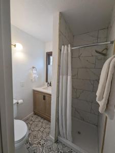a bathroom with a shower with a toilet and a sink at Three Pines Cabins in Big Bear Lake