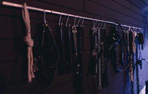 a rack of clothes hanging on a wall at Emotion Apartments- BDSM Apartment mit privater Sauna in Vlotho +6 photos