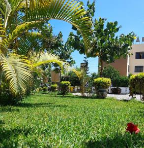 un parque con césped verde y palmeras y un edificio en Hospedaje Huamani & Mi Casa, en Pisco