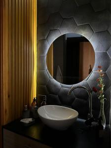 a bathroom with a sink and a mirror on a counter at Hospedaje Anas inn - guesthouse in Ezeiza +60 photos