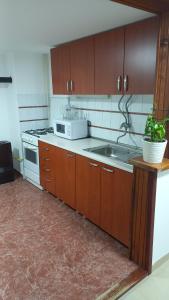 a kitchen with a stove and a sink and a microwave at Stan na dan Kamenički park in Sremska Kamenica