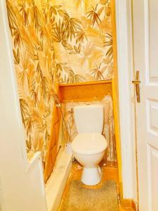 a bathroom with a toilet in a room at Studio house near paris in Épinay-sur-Seine