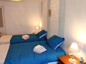 a bedroom with two beds with blue pillows at Gîte Formerie, 3 pièces, 4 personnes - FR-1-526-45 in Grumesnil