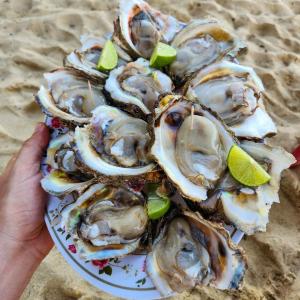 a plate of oysters on the beach with lime slices at habitación en Casa Palma y Coco in Playa Agua Blanca