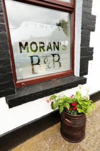 Sertifikat, nagrada, logo ili drugi dokument prikazan u objektu Moran's Bar & B&B
