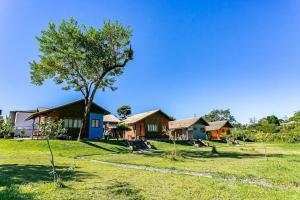 un grupo de casas en un campo con un árbol en Cabanas aconchegantes. Desfrute da natureza e praia en Florianópolis