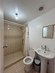 a bathroom with a toilet and a sink and a shower at Puna Hostel in San Pedro de Atacama