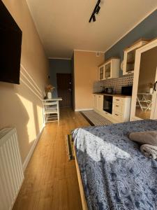 Kuchyňa alebo kuchynka v ubytovaní Perfect Stay - "Apartament Zamkowy" - parking place