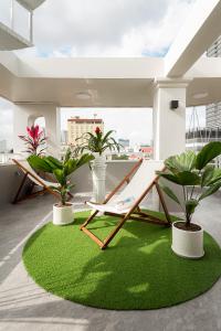 GARE D'47 Homestay/ Hotel في هاي فونج: أرجوحة على سجادة خضراء في غرفة بها نباتات