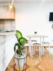 eine Küche mit einem Tisch und einer Topfpflanze in der Unterkunft Moderna Casa Familiar in Yopal