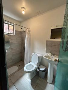 聖佩德羅·德·阿塔卡馬的住宿－Puna Hostel，一间带卫生间和水槽的浴室