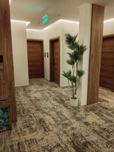 Fotografie z fotogalerie ubytování فندق سي قل - Sea gull Hotel v destinaci Umm Lajj