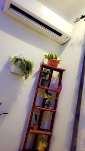 a wooden shelf with potted plants on a wall at F&D villas in Dar es Salaam