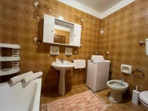 La salle de bains est pourvue d'un lavabo, de toilettes et d'un miroir. dans l'établissement A Bormio con gioia, à Bormio