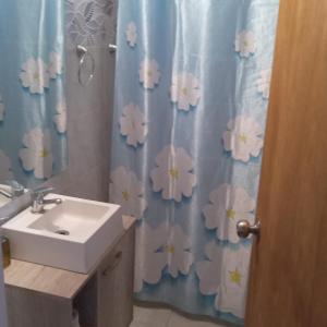 ein Badezimmer mit einem Waschbecken und einem Duschvorhang mit Blumen in der Unterkunft Hostal DOÑA EMMA in Florida