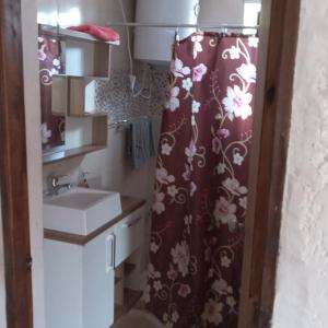 a bathroom with a sink and a shower curtain at Hostal DOÑA EMMA in Florida