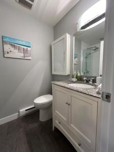 La salle de bains est pourvue de toilettes, d'un lavabo et d'un miroir. dans l'établissement North Nanaimo Gem - Garden-View Room with Private Ensuite, à Nanaimo