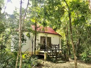une petite maison au milieu de la forêt dans l'établissement Jolie Jungle Eco Hotel, à Puerto Morelos