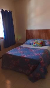 里約達斯奧斯特拉斯的住宿－Hospedaria Meu Lar，一间卧室配有一张带蓝色毯子的床和窗户。