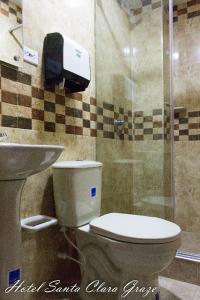 La salle de bains est pourvue de toilettes et d'un lavabo. dans l'établissement Hotel Santa Clara Graze, à Pasto