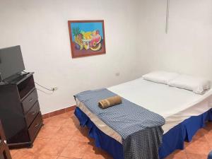 1 dormitorio con 1 cama y vestidor con TV en Apartamento Nilxon / Habitación, en Granada