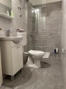 a bathroom with a toilet and a shower and a sink at Apartments by the sea Jelsa, Hvar - 22256 in Jelsa +42 photos