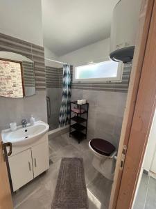 a bathroom with a toilet and a sink at Apartments by the sea Jelsa, Hvar - 22256 in Jelsa