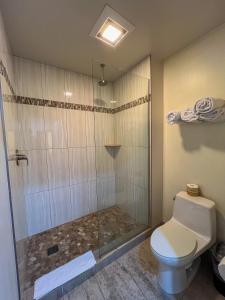 a bathroom with a shower with a toilet at Greenwich Inn in San Francisco