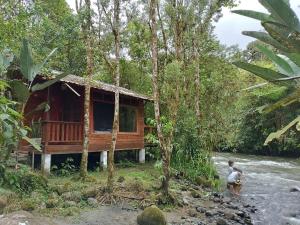 a cabin in the woods next to a river at River Song's Hotel in Mindo