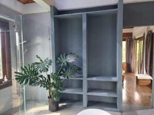 a bathroom with a glass shelf with a potted plant at Thao’s Villa in Ho Chi Minh City