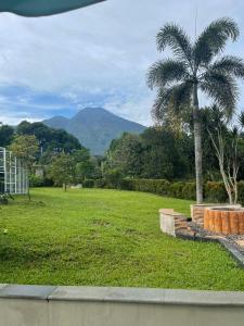 una palmera en un campo con vistas a la montaña en Villa BNA Curug Nangka Taman Sari Bogor, en Cibeunjing