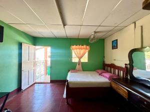 a bedroom with green walls and a bed and a window at Casa Krisdalia in Moyogalpa