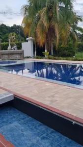 una piscina con una palmera en el fondo en Quinta vacacional completa, en Villavicencio