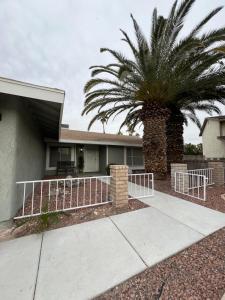 a house with a palm tree next to a sidewalk at Pampas House in Las Vegas