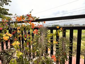 Balkón nebo terasa v ubytování Rozay Travellers Inn