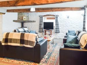 a living room with two couches and a tv at Y Beudy - Uk46191 in Llanybydder