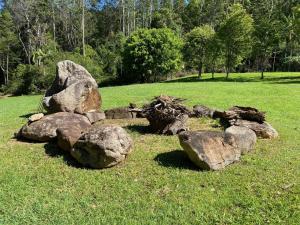 Commissioners CreekRainforest Cabin in Doon Doon NSW的相册照片