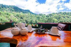 Příroda nedaleko ubytování v soukromí