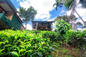 una casa con balcone al centro delle piante di Rainforest View a Deniyaya