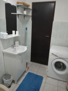 y baño con lavamanos y lavadora. en APARTMAN PAVELIĆ, en Lovinac