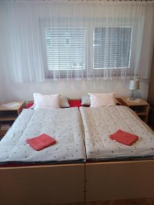 1 dormitorio con 2 almohadas en APARTMAN PAVELIĆ, en Lovinac